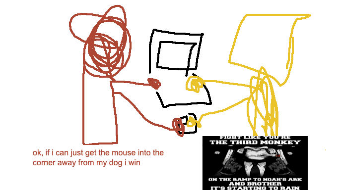 intended player experience